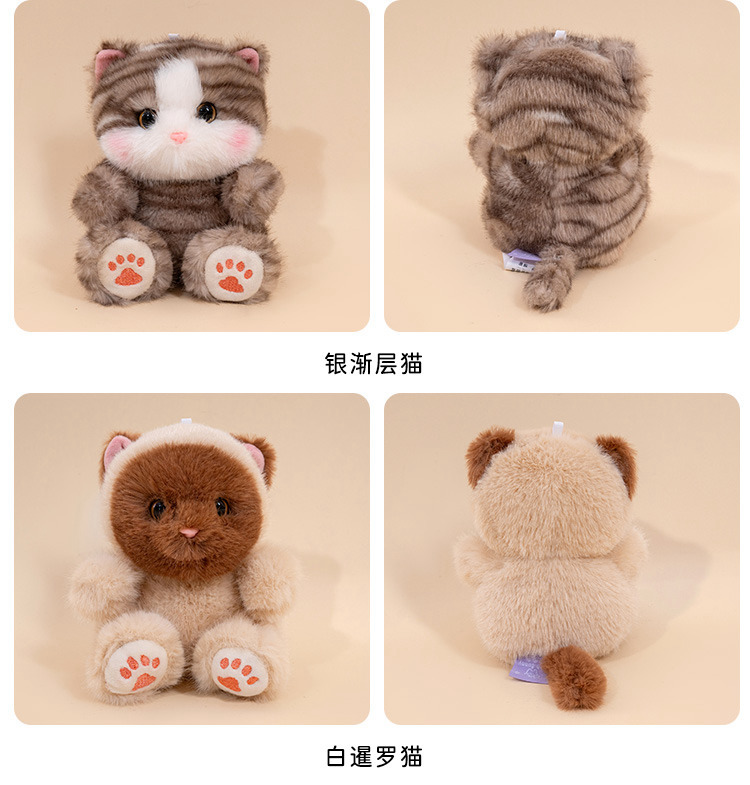 Cute and adorable golden gradient cat palm treasure, plush cat toy, learning set, Siamese cat office decoration pic 21