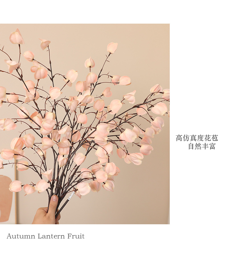 新款仿真灯笼果姑娘果高品质家居软装装饰插花假花摆件摄影道具详情20