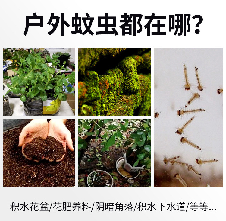 跨境太阳能地埋灯户外8LED草坪灯七彩不锈钢庭院灯太阳能地埋灯详情2