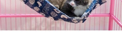 Factory pet supplies canvas cat cages, hammocks with fleece hanging, adjustable length, pet cat hanging beds pic 20