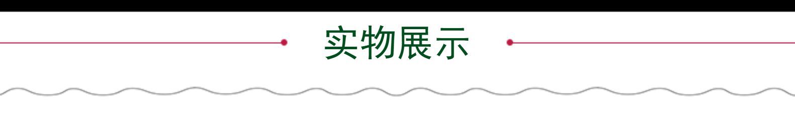 尼龙狗狗项圈小型中型大型犬脖套金毛马犬德牧狗颈圈栓狗宠物用品详情14