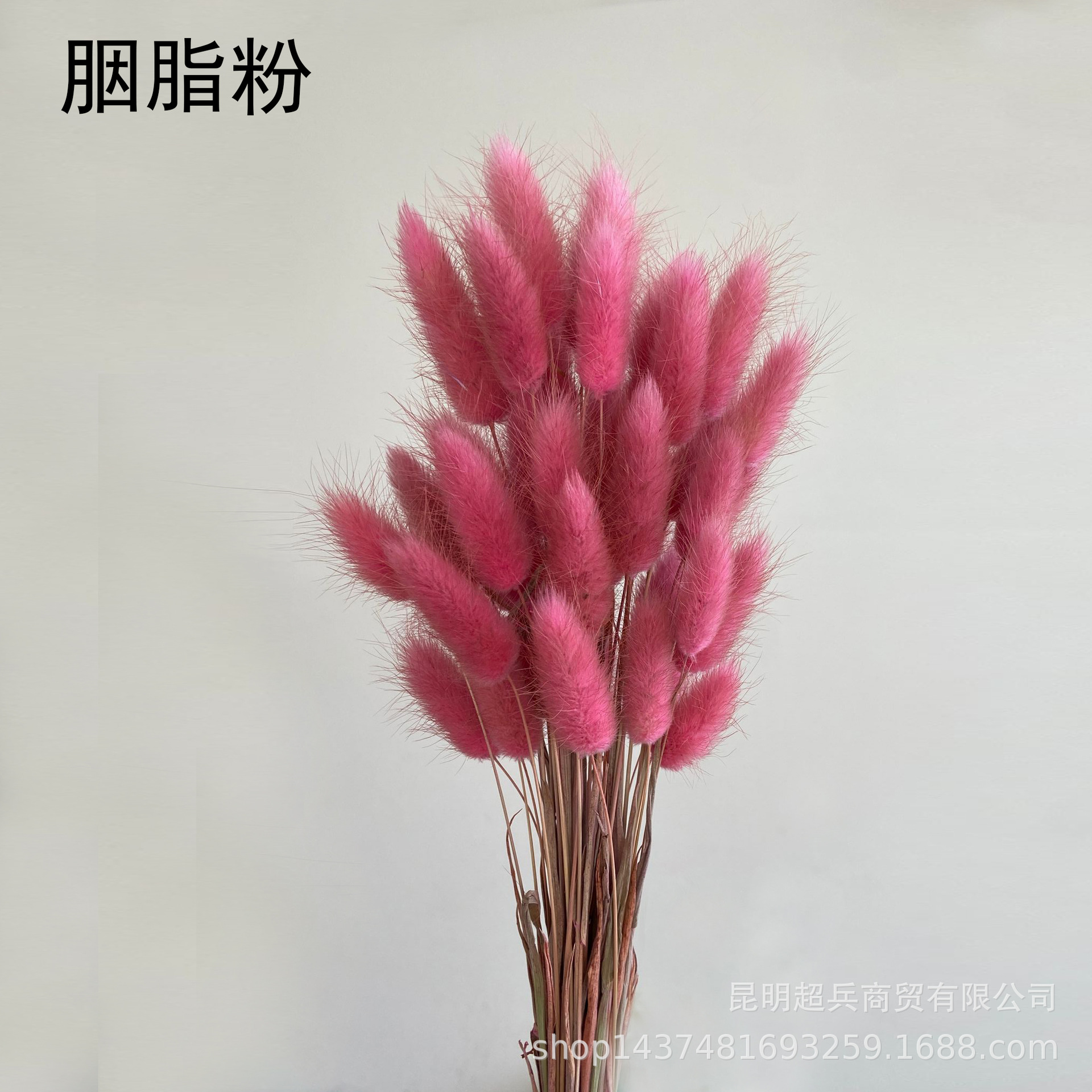 QQ图片20211210155639.jpg