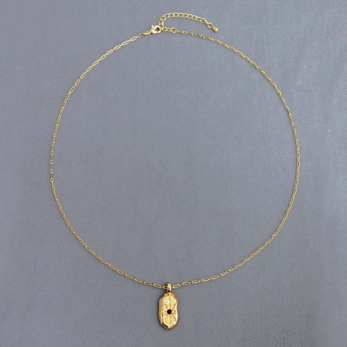 Elis*法国盾牌项链 25年早春新款小众精致高级感八芒星盾牌锁骨链详情6