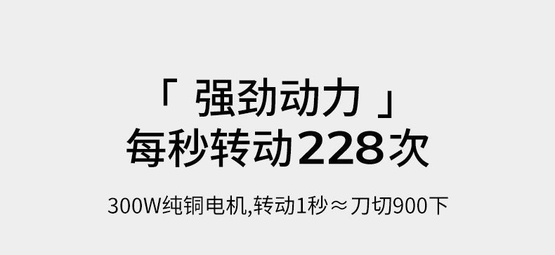 Domon Electric small household meat grinder, fully automatic stainless steel meat mixer, cross-border export 110V blender pic 4