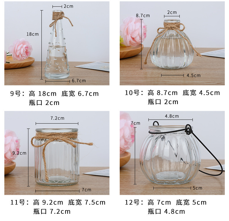 Transparent ins glass vases, Nordic fresh and clean living room decoration small vases, rattan volatile aromatherapy bottles wholesale pic 9