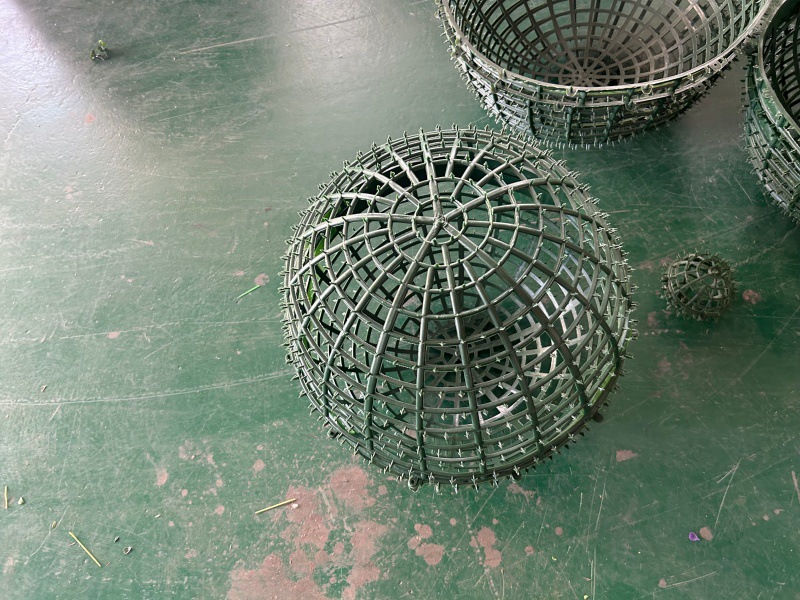 QQ图片20240724195000_副本