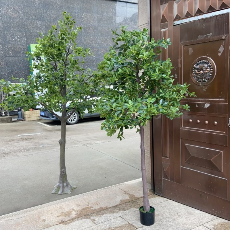 微信图片_20240925113952