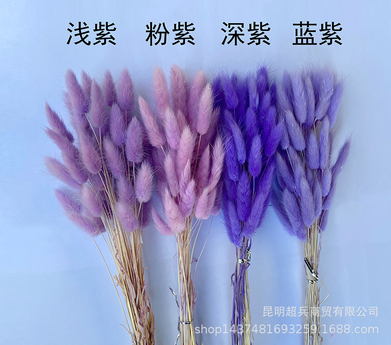 QQ图片20220105161050.jpg