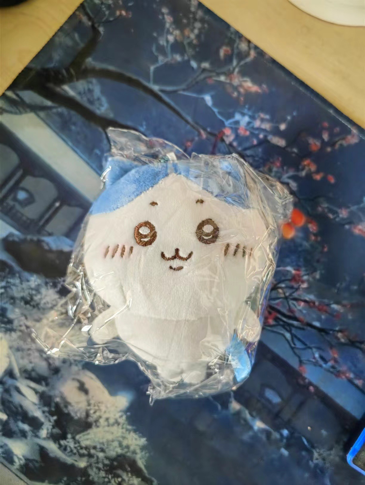 考拉衣服10cm棉花娃娃小兔小猫吉伊娃衣灰色树袋熊外套平替换装详情3