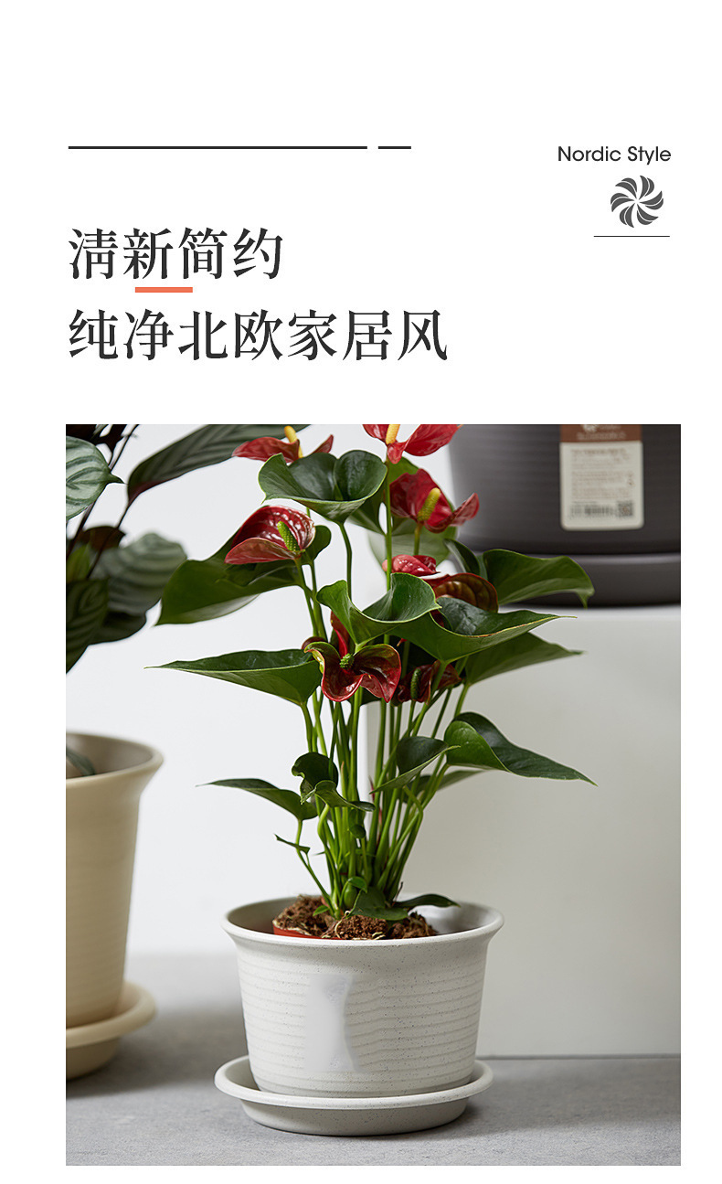 日式简约塑料花盆 圆形加厚花盆阳台绿植多肉塑料仿陶瓷园艺花盆详情8