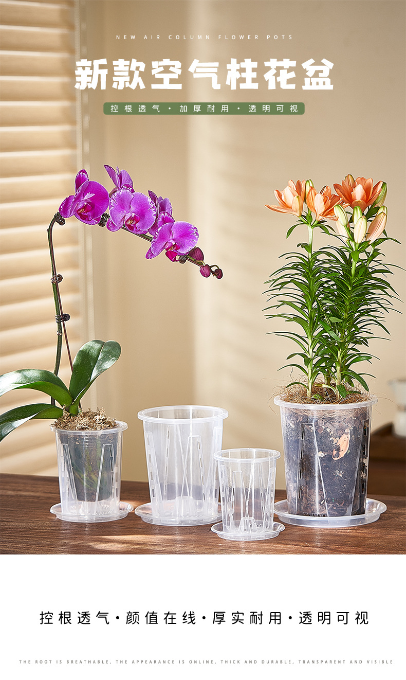 新款蝴蝶兰花盆控根盆透明青山盆文心兰盆透明塑料透气花盆兰花盆详情1