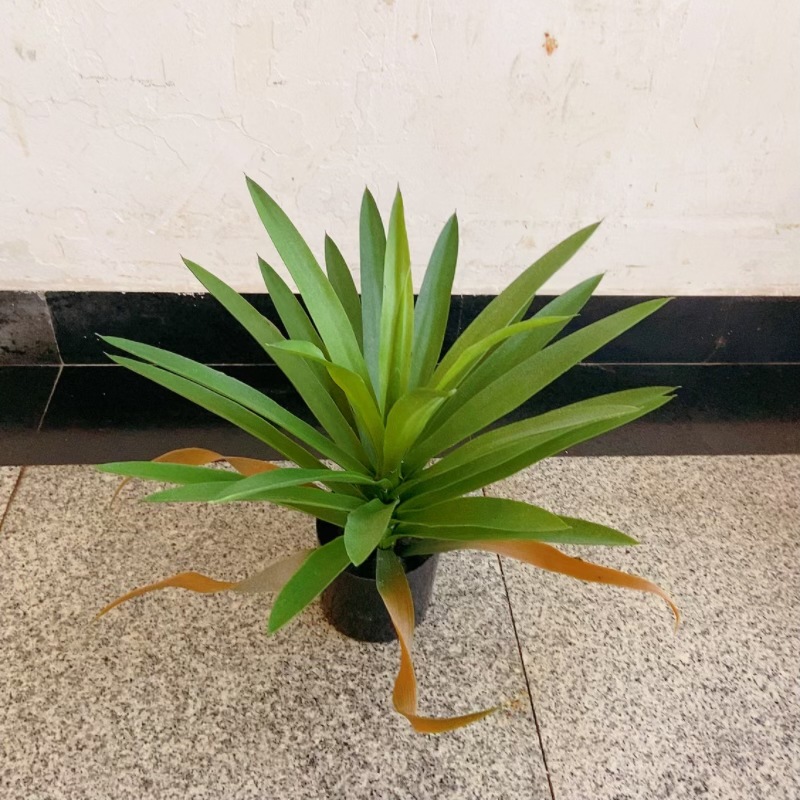 微信图片_20240524104030