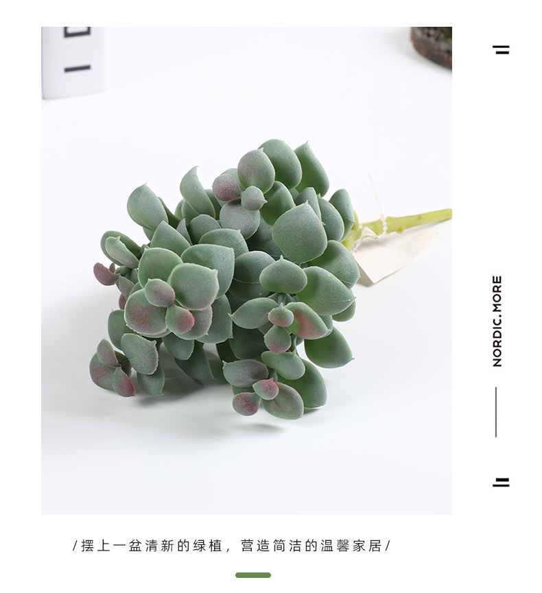 新款仿真塑料多肉手感插花多肉园艺装饰多肉绿植多头组合批发详情10