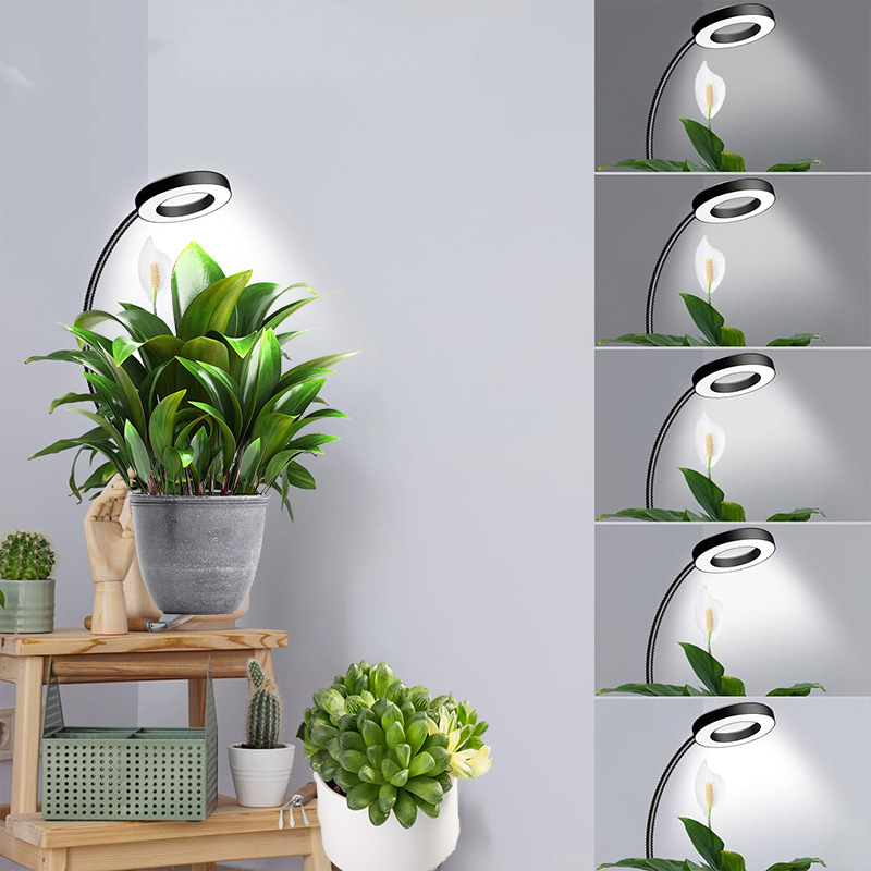 Flowerpot clamps, angel rings, plant growth lights, indoor seedling succulent supplementary lighting lights, LED full-spectrum plant lights pic 4