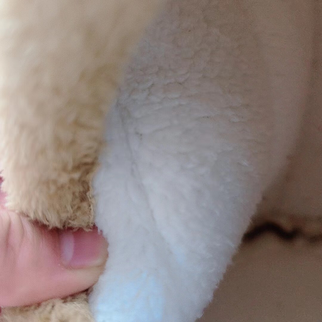 Hamster nest, rabbit, Dutch pig, guinea pig nest, sugar glider, squirrel, warm cotton nest, hammock, guinea pig nest, pet supplies pic 24