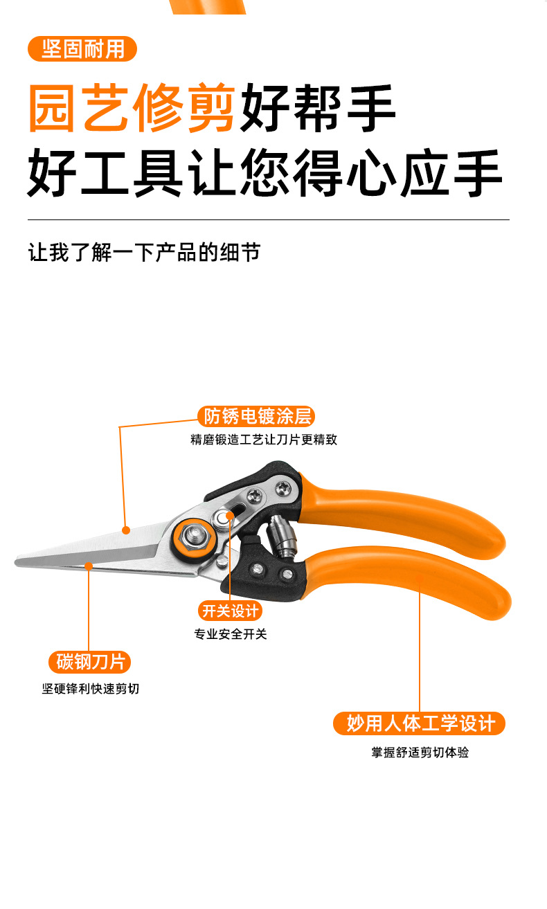 园艺修花剪刀果树粗枝修枝剪花艺加厚宽头鲜花剪园林修剪工具批发详情9