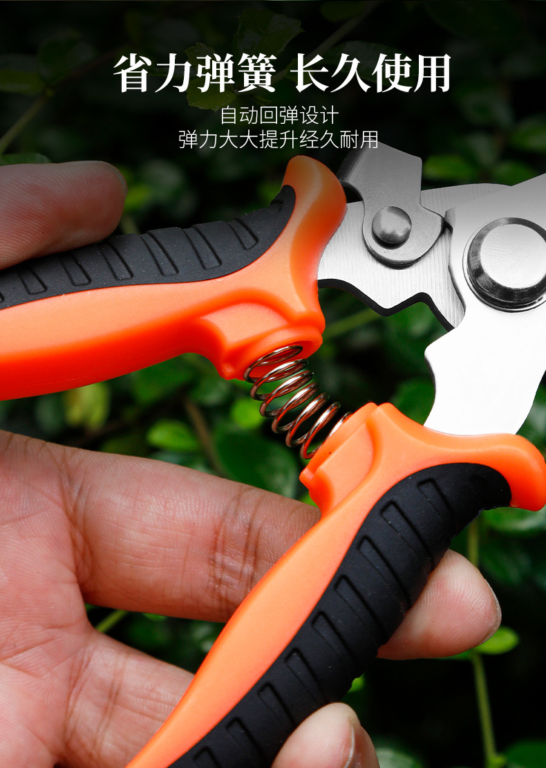 强力修枝剪果树粗枝剪刀家用省力园艺剪枝的剪园林树枝剪剪枝的剪详情7