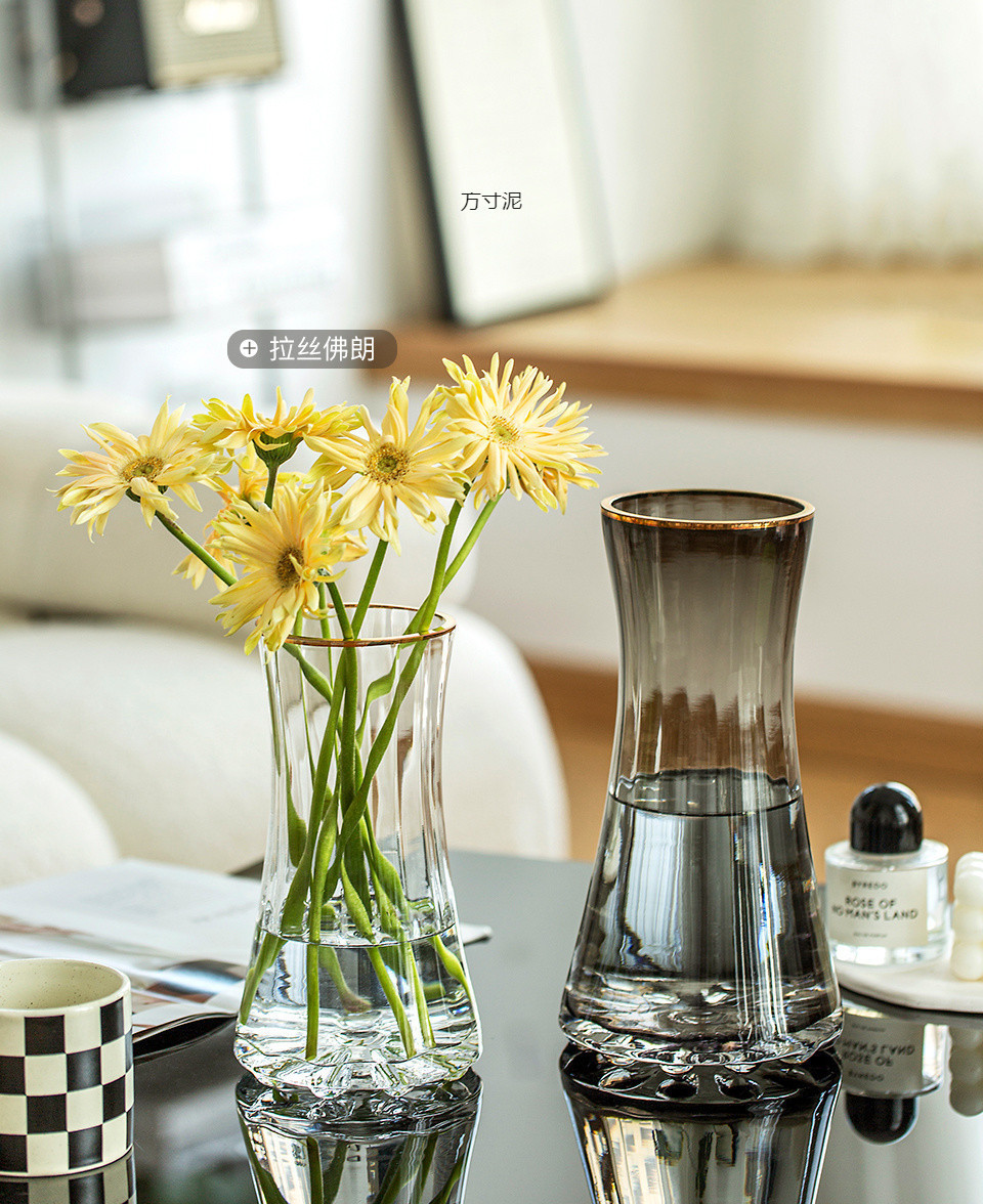 简约轻奢加厚ins风透明玻璃花瓶水养富贵竹鲜花插花客厅摆件批发详情24