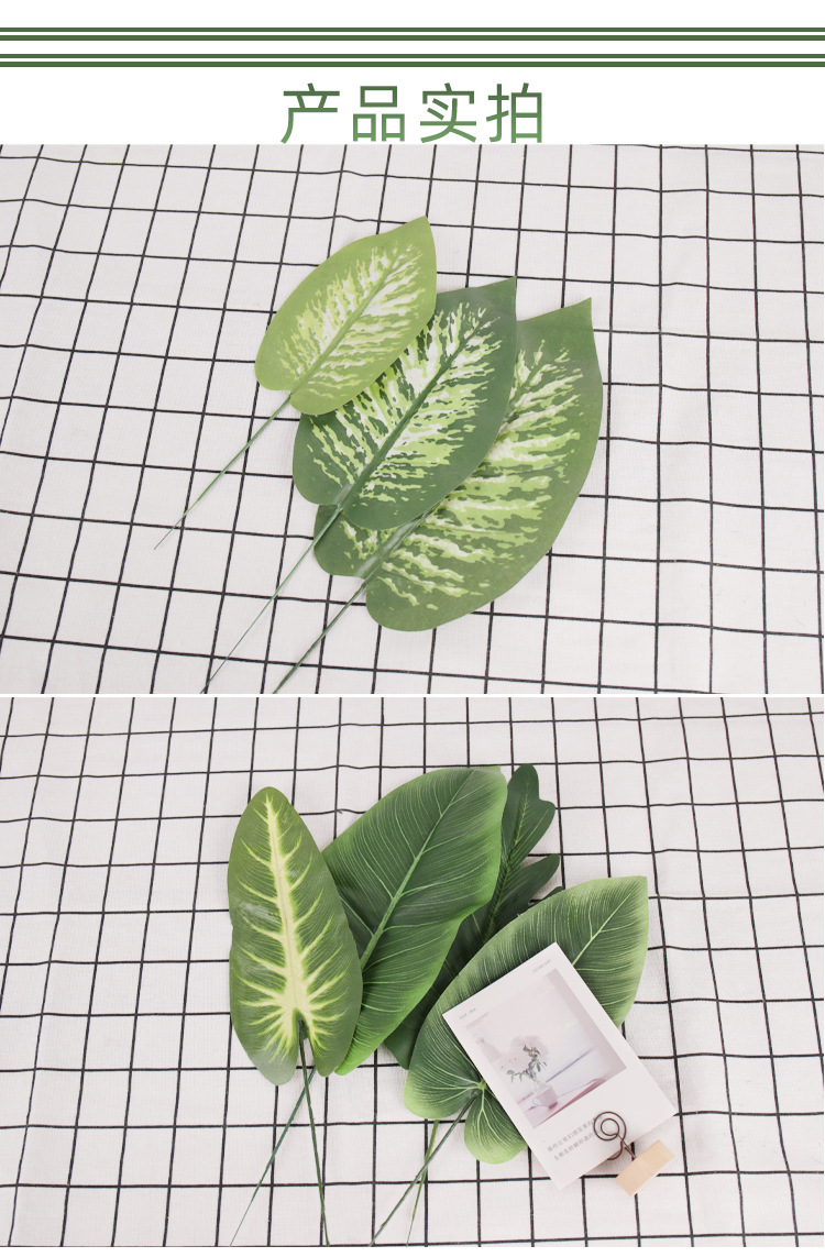 亚马逊仿真叶子绿化工程植物墙酒店家居装饰软装多肉仙人掌园艺绿植布景详情4