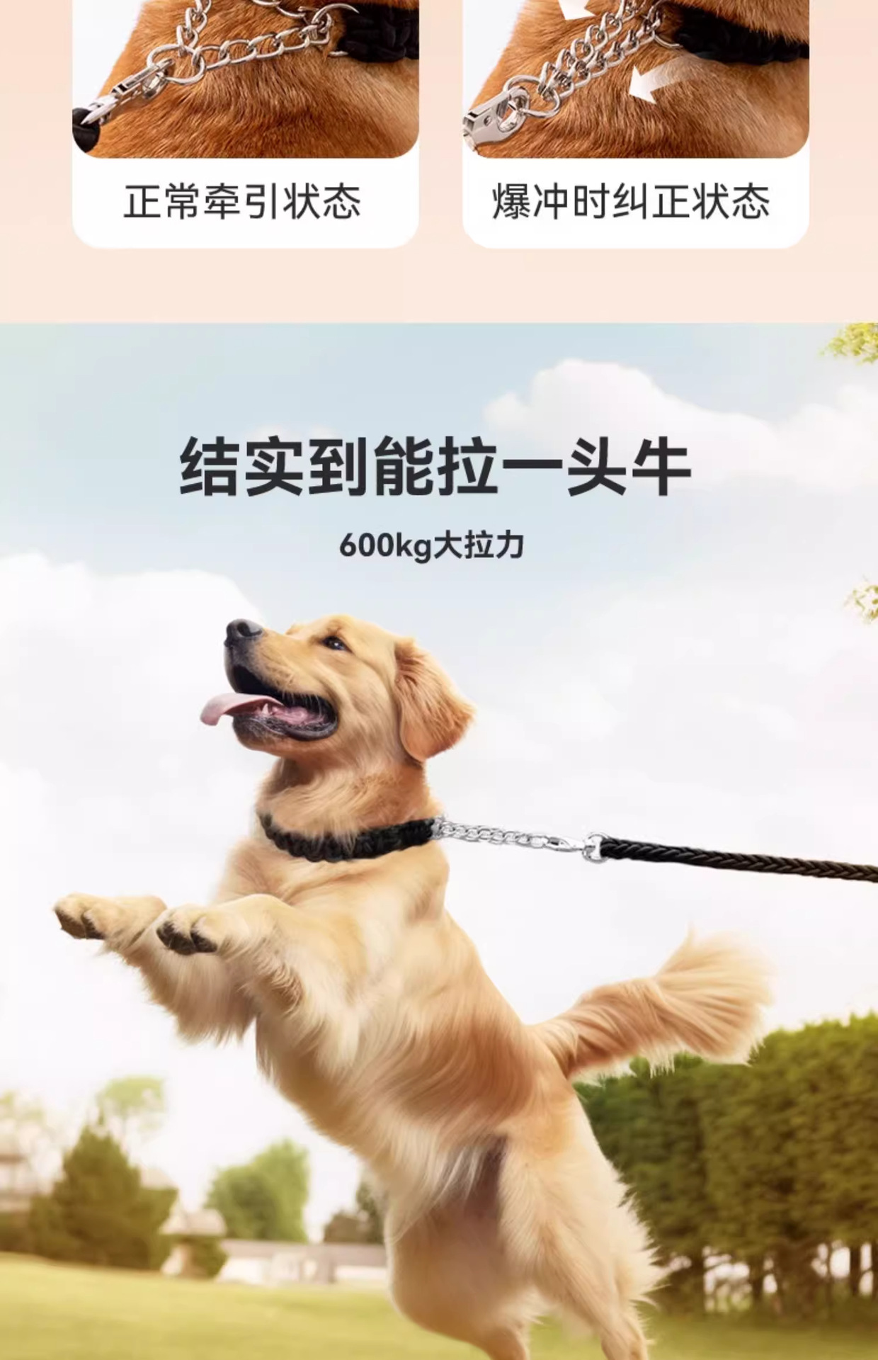 狗狗牵引绳中型大型犬金毛狗绳子拉布拉多狗链子狗脖圈狗项圈p链详情20