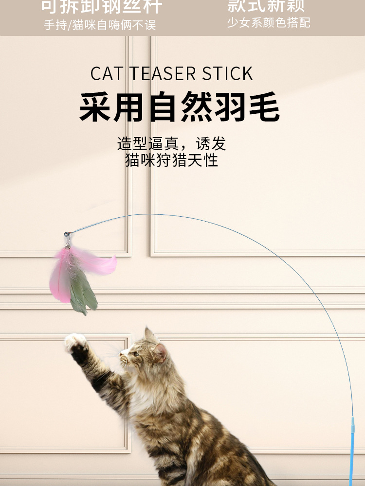跨境亚马逊逗猫棒强力吸盘长杆钢丝逗猫棒可替换羽毛带铃铛猫玩具详情4