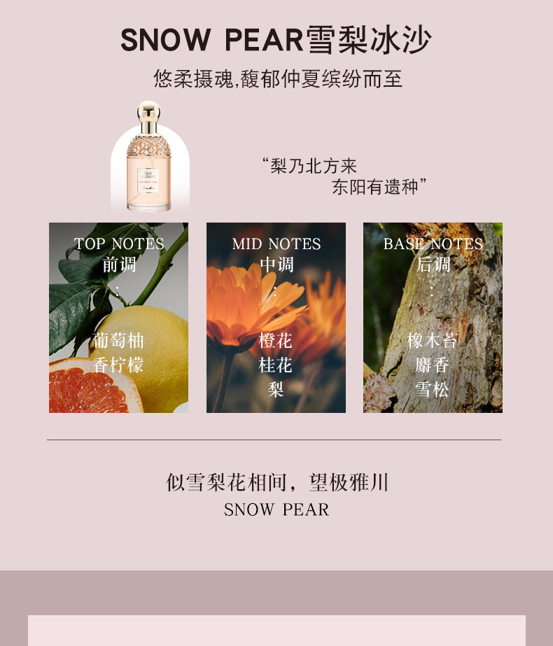 小城伊香品牌花草水语女士香水持久自然花果淡香学生平价香水批发男士香水六区香水香水玻璃瓶定製香水详情10