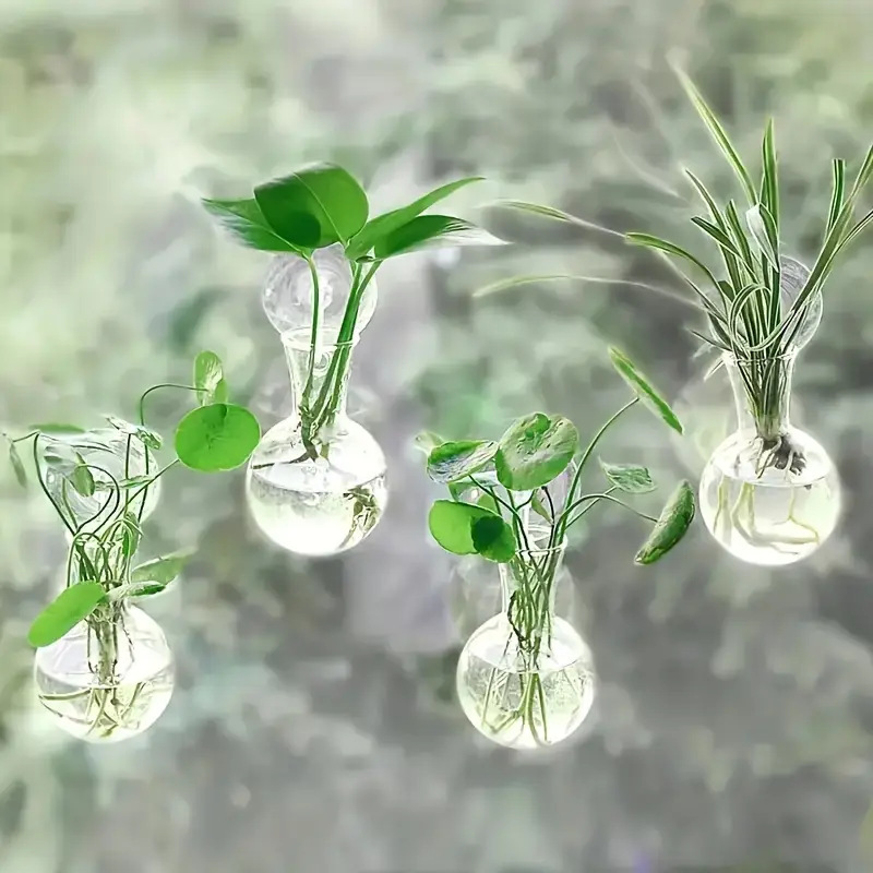现代壁挂式水培花瓶透明水养插花挂墙上花盆绿萝水培器皿植物装饰详情3