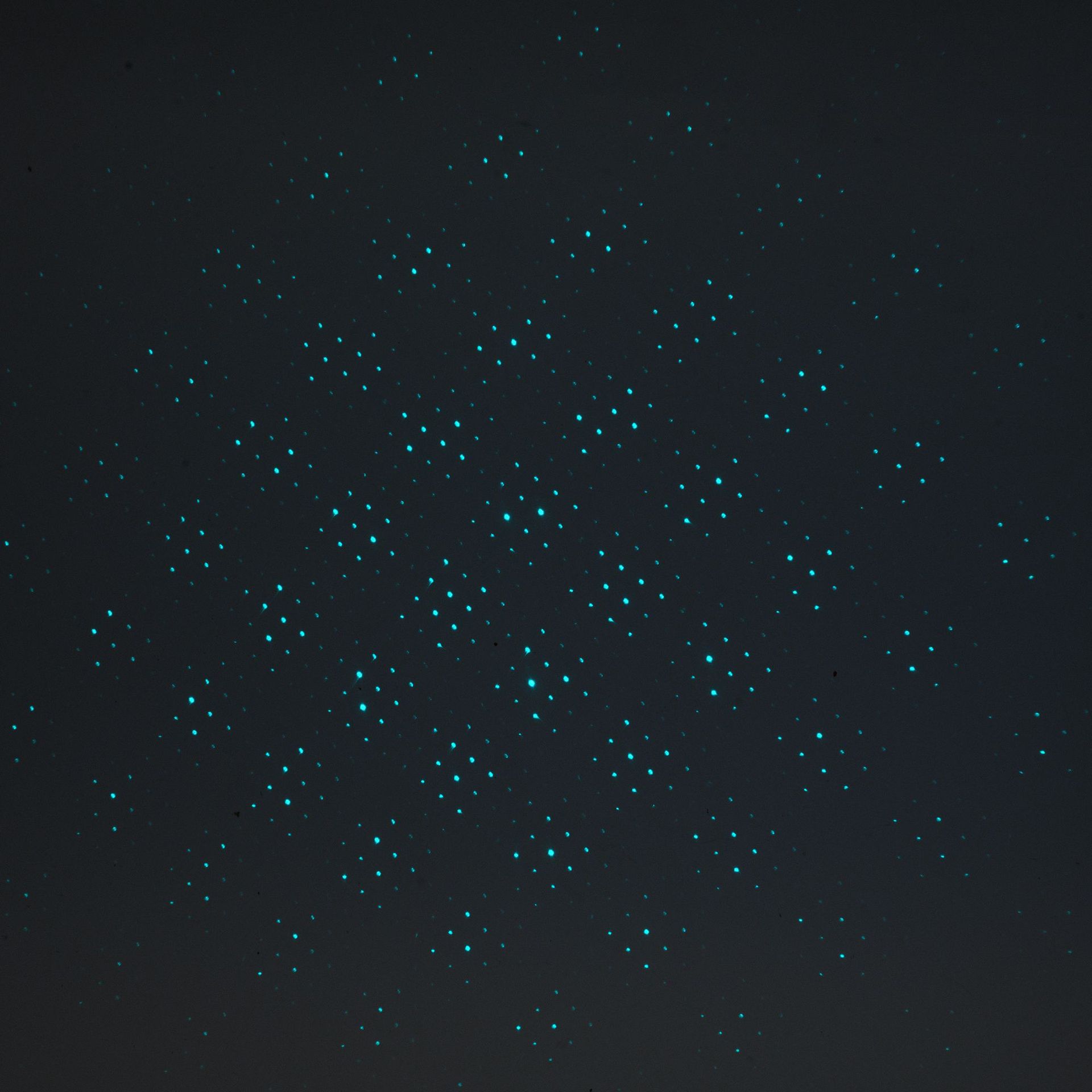 多功能激光灯钥匙扣绿光笔远射灯多图案满天星激光笔玩具登山扣详情24