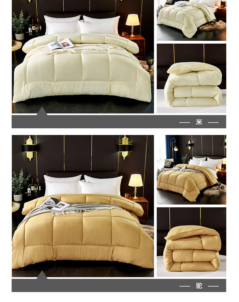 Wholesale of spring and autumn quilts, thickened and warm winter quilts, and single and double student winter quilts for all four seasons pic 19
