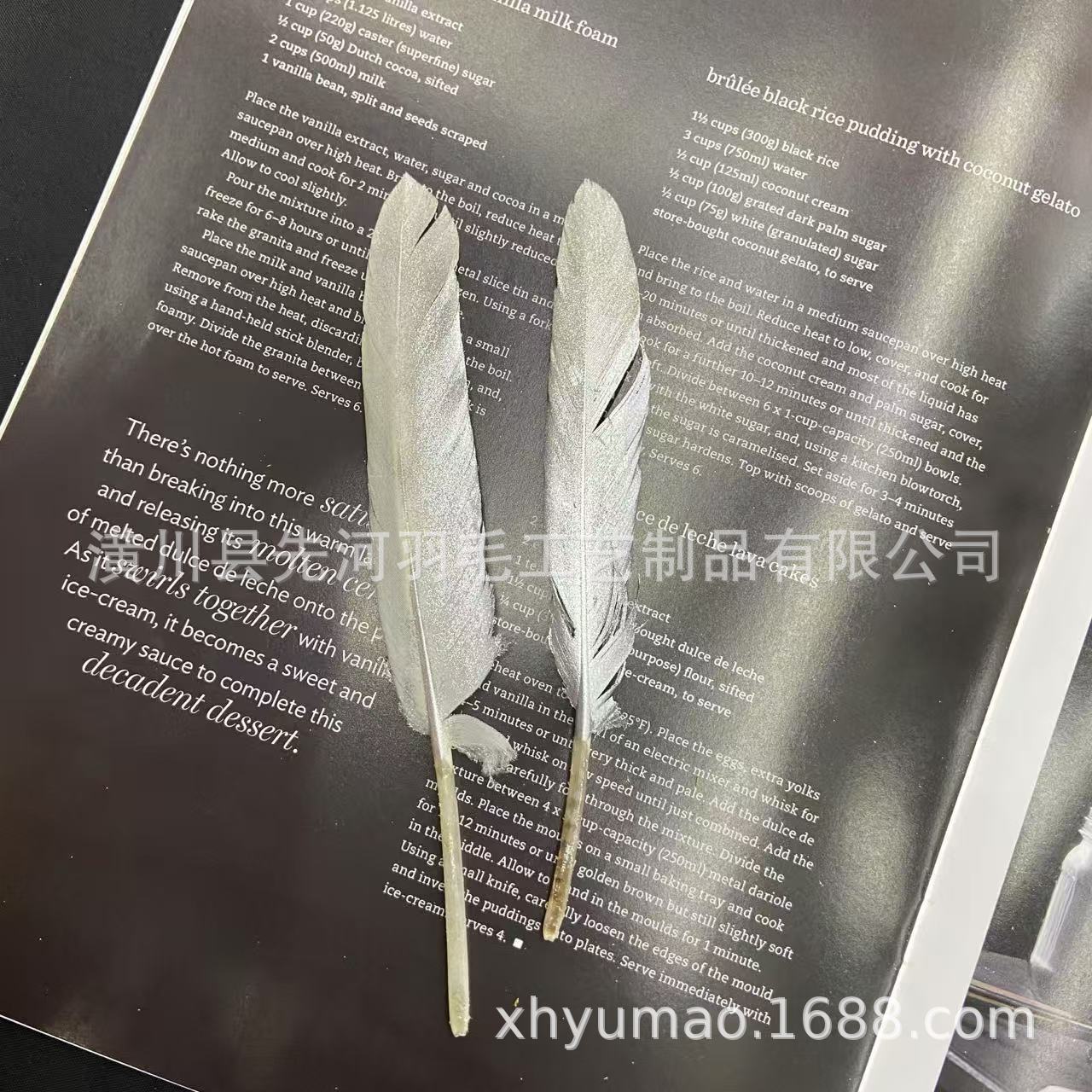 鹅毛大飘直刀金色银色羽毛喷漆羽毛diy配饰配件跨境专供厂家现货详情6