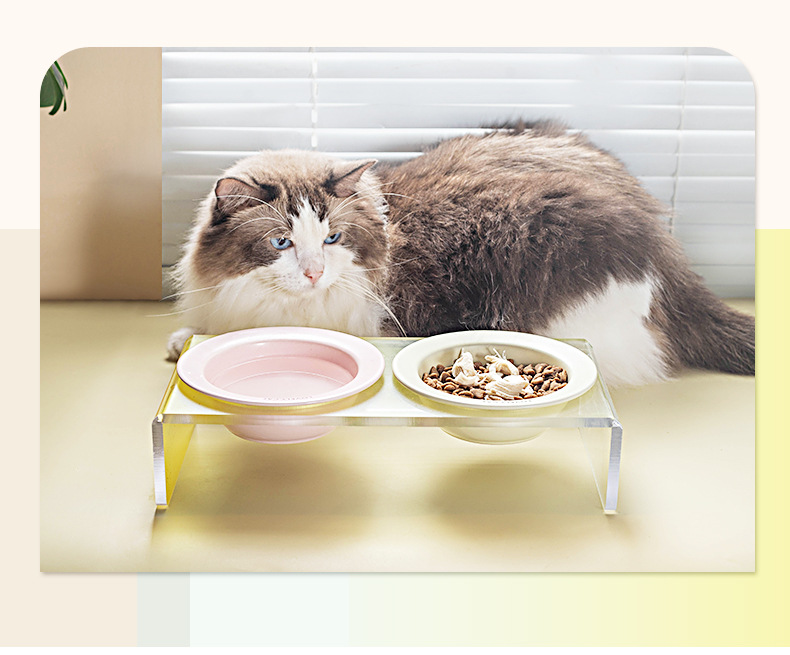 哇噢定制韩国bd同款飞碟宠物碗猫粮碗饮水碗陶瓷猫碗防黑下巴狗碗详情10