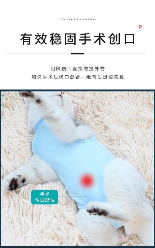 跨境亚马逊母猫透气绝育衣服断奶服猫术后防舔四季可用猫咪绝育服详情10