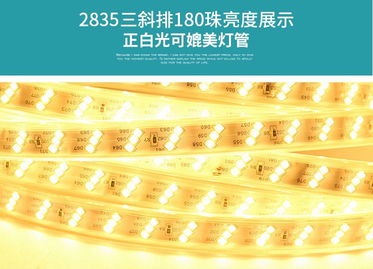 220v户外防水2835批发灯条七彩rgb工程亮化LED灯带5730家装室内灯详情28