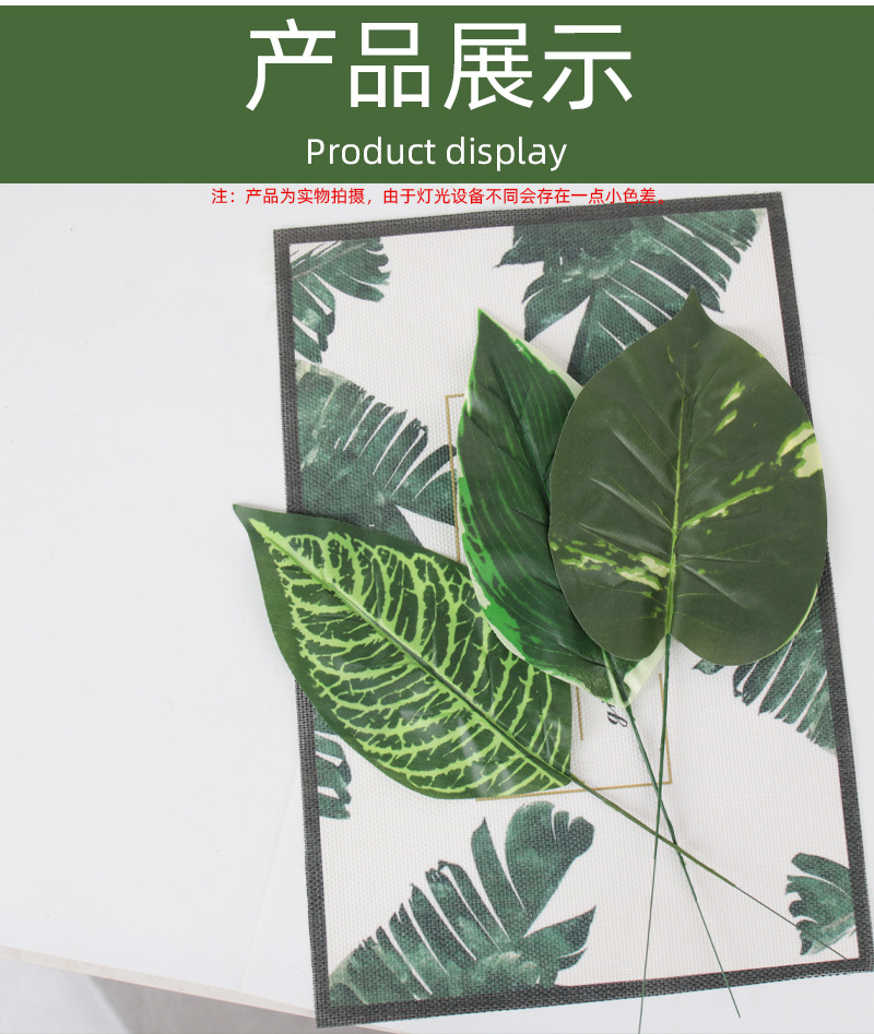 仿真人造植物叶子单片绿叶春雨叶美人蕉北欧家居插花装饰配材办公文化仿真园艺枝叶树详情8