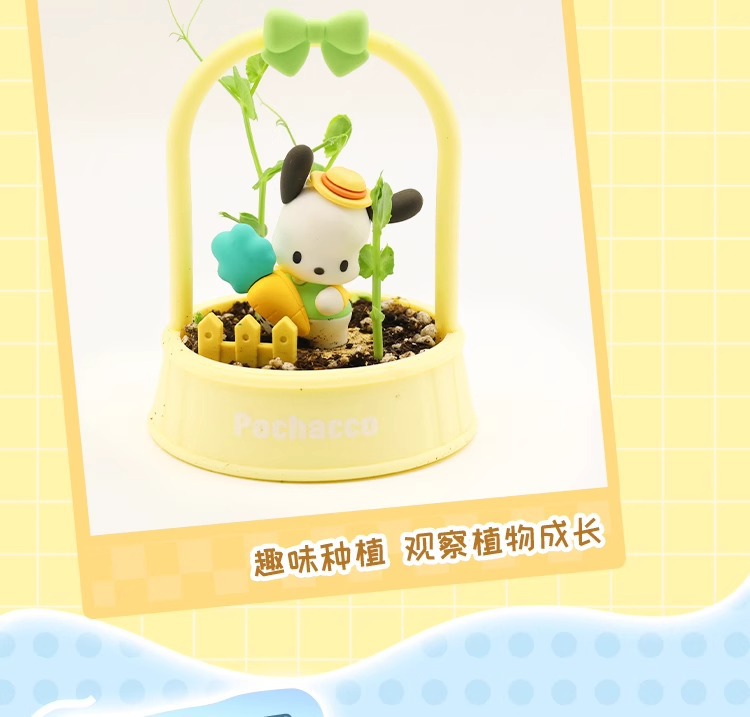 正版三丽鸥午后花园系列diy儿童种植摆件凯蒂猫小盆栽大耳狗批发详情10