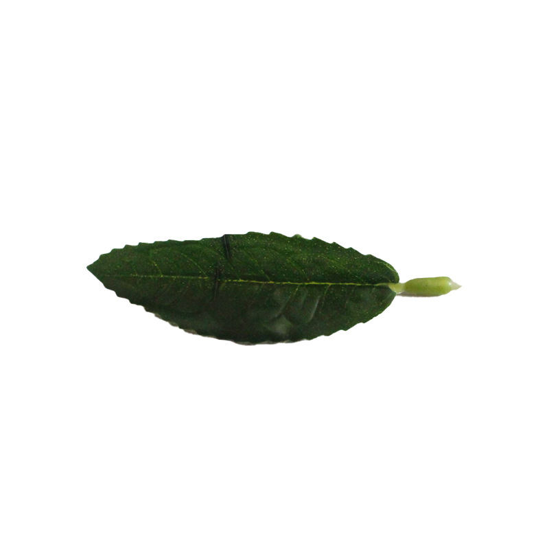 仿真茶叶绿植安吉白茶毛尖茶红绿茶单片称重工程DIY装饰摆设批发详情9