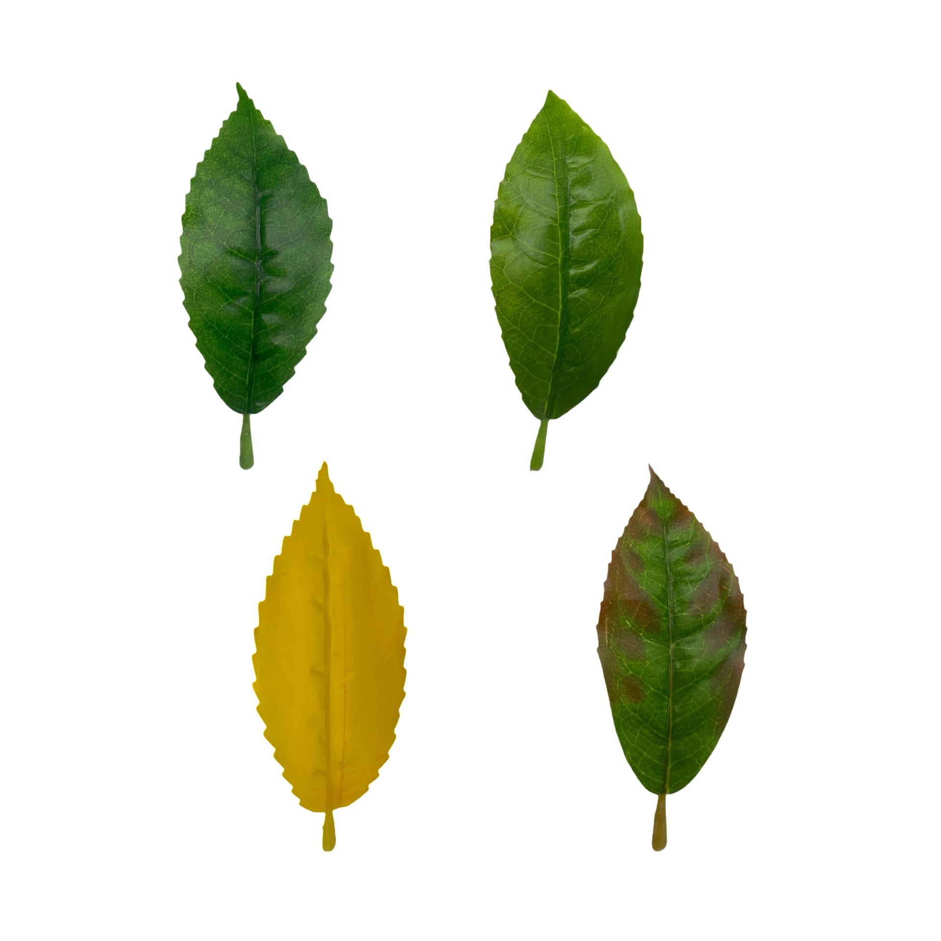 仿真红花油茶叶绿植单片毛尖茶叶绿茶大白茶红茶园林装饰摆设批发详情15