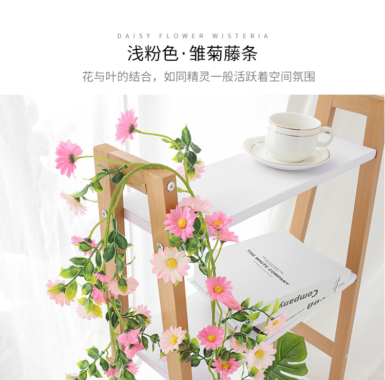小雏菊---副本_15.jpg