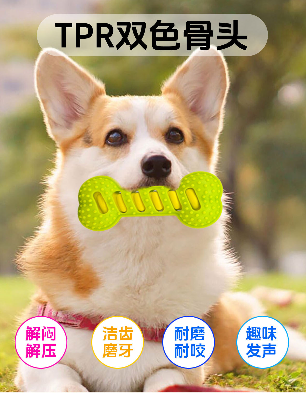发声磨牙骨头TPR材质耐啃咬健齿磨牙棒中大型犬狗狗宠物玩具工厂详情6