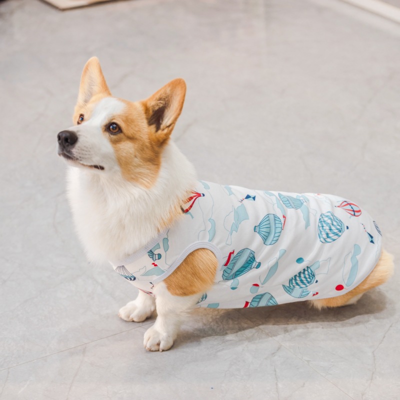 狗狗背心四季款宠物T恤可爱卡通狗狗服装印花中型犬幼犬现货批发详情26