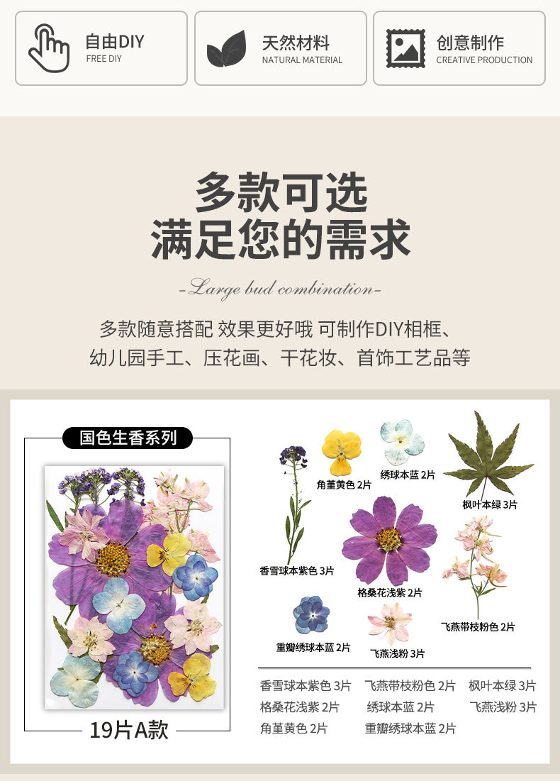 新款干花压花材料包贴脸装饰眼角写真花瓣diy滴胶相框植物标本详情10