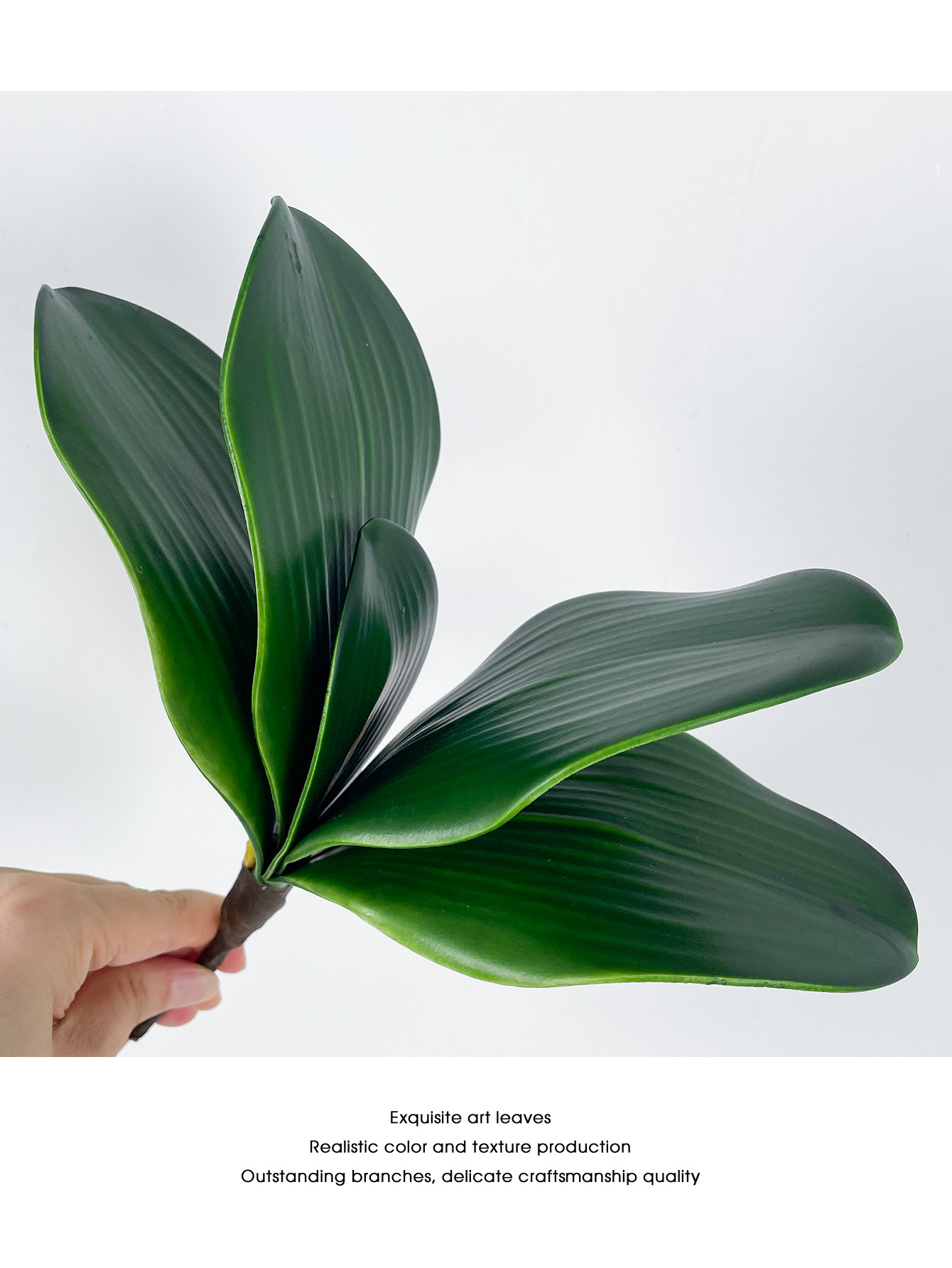 仿真蝴蝶兰叶手感软胶PU君子兰叶高档EVA蝴蝶兰叶丝网花配件插花详情12