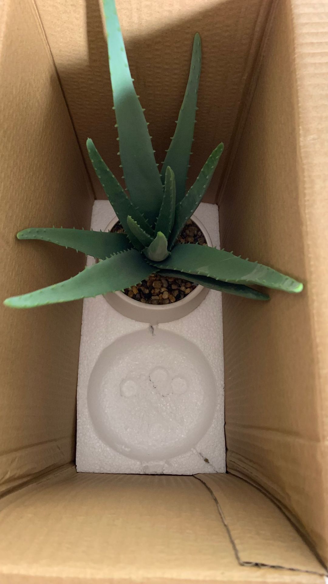 Simulated soft rubber aloe vera artificial flower set, white ceramic potted green plants, succulent plant decorative ornaments, cross-border pet gardening pic 7