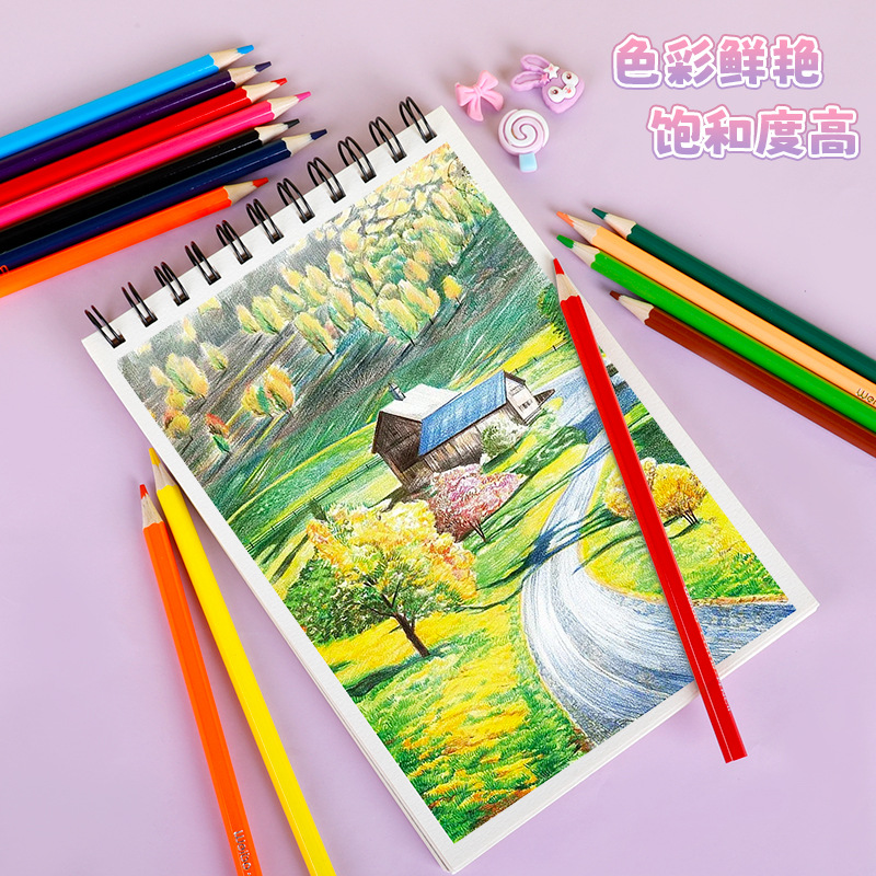 炜搏文具白杨木杆彩铅儿童彩色铅笔套装木质油性12色美术画笔盒装详情5