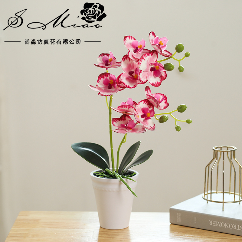 假花3D打印膠片手感蝴蝶蘭盆景仿真花廠家直供人造植物仿真盆栽详情3