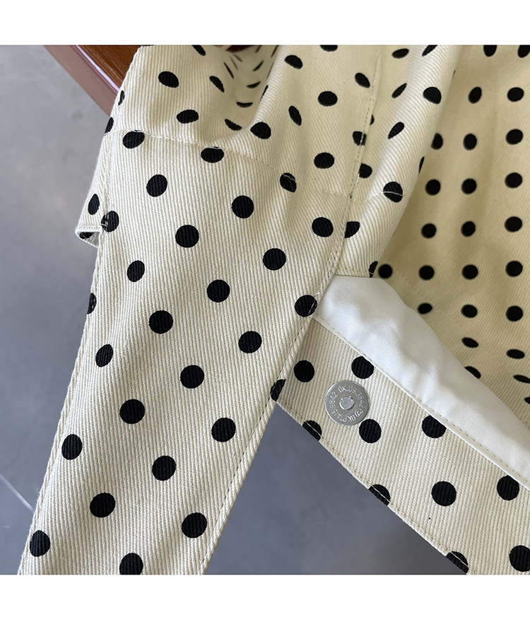 韩系小众ins牛仔帆布包休闲简约布袋大容量学生单肩托特包波点包详情7