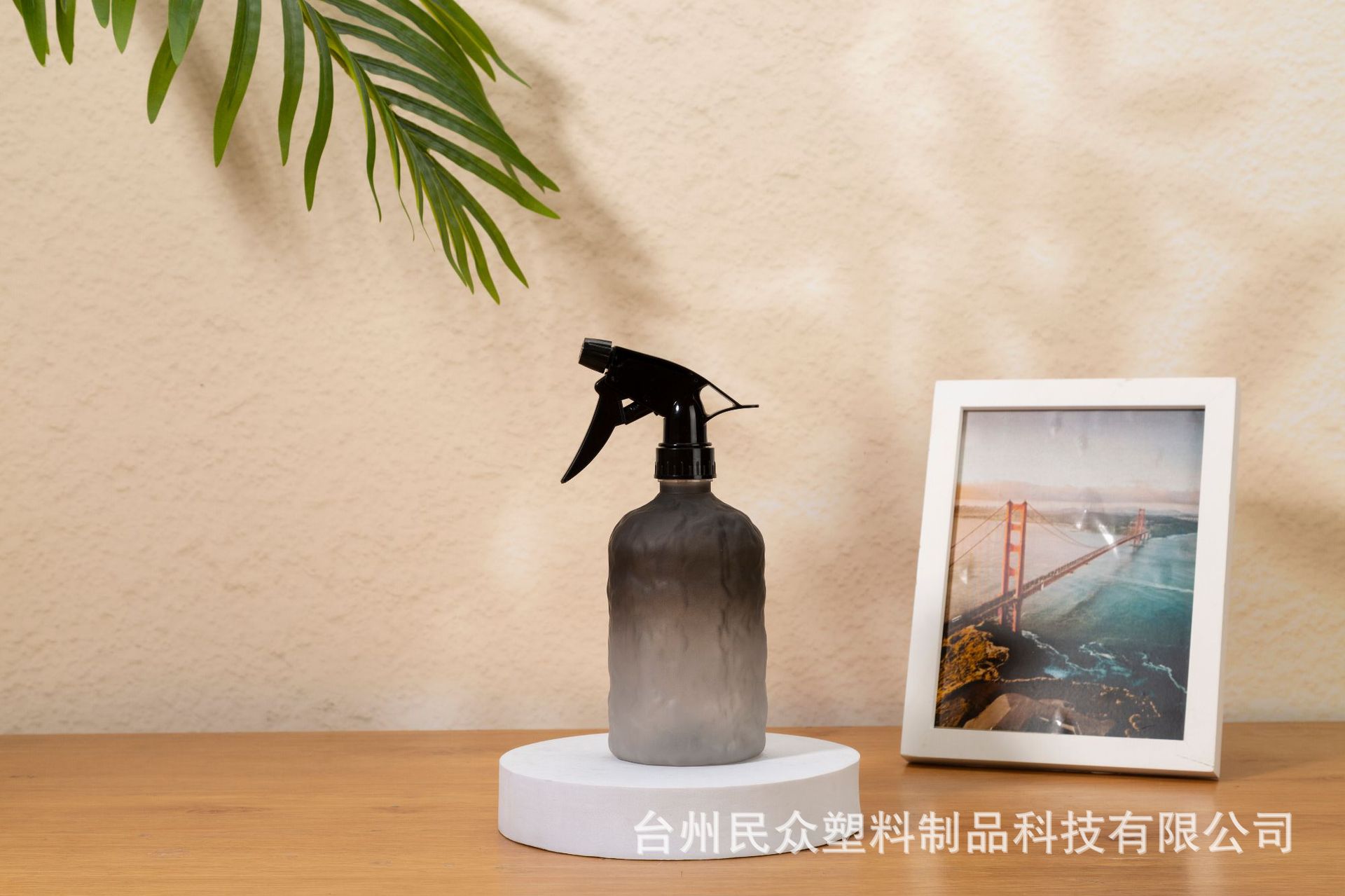 跨境渐变喷壶家用酒精消毒喷雾瓶园艺养花浇水壶美发小容量喷雾器详情9