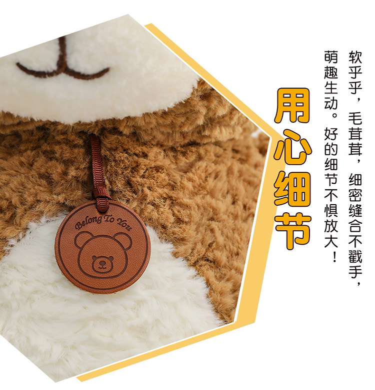吊牌小熊公仔可爱毛绒玩具小熊公仔玩偶儿童生日礼物跨境批发详情21