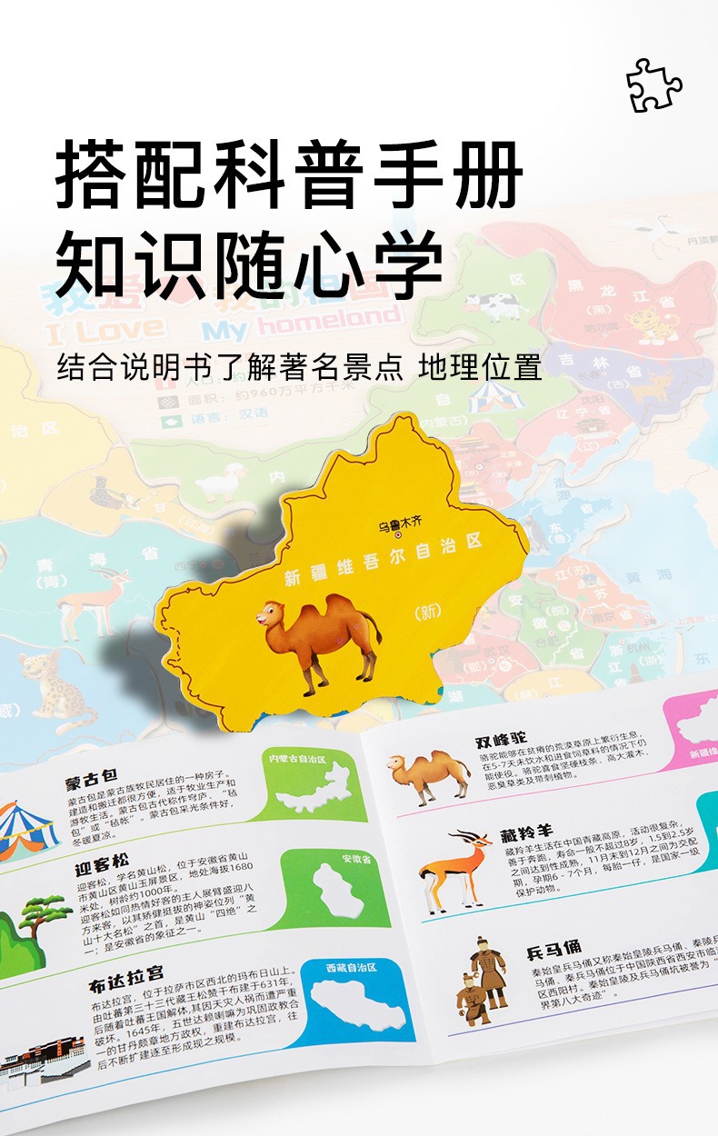 木质磁力中国世界地图拼图拼板儿童节礼物益智幼儿园礼物玩具批发详情5