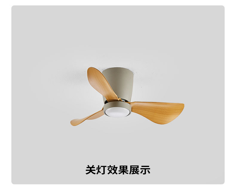 北欧简约24寸卧室风扇灯柔风智能变频吸顶小电扇灯餐厅书房吊扇灯详情24